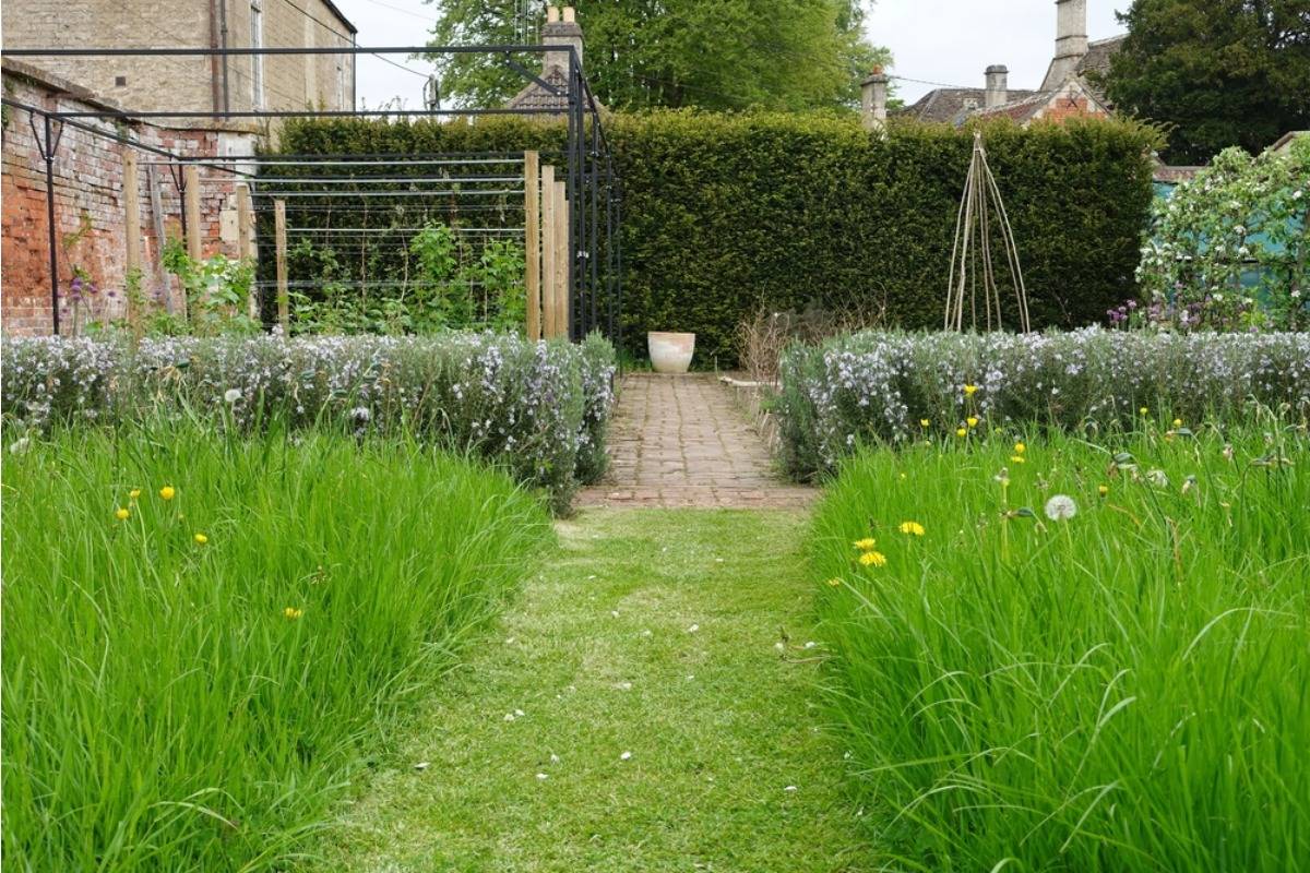 Homeowner Says His Backyard Garden Is Being Used as a Shortcut by Delivery Drivers, Now His Plants Keep Getting Stepped On