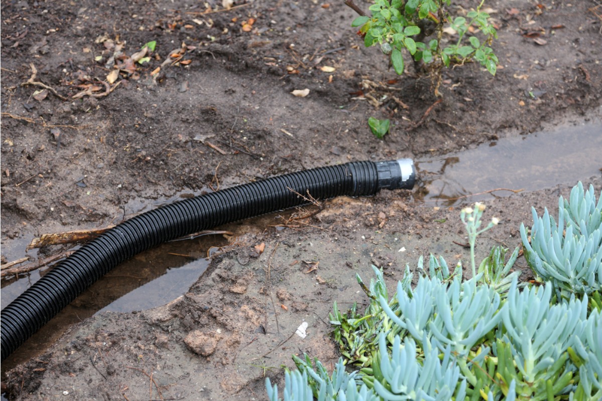 Homeowner Says His Backyard Garden Keeps Flooding Because of a Neighbor’s Drainage Pipe, Now Every Rainstorm Turns Into a New Argument