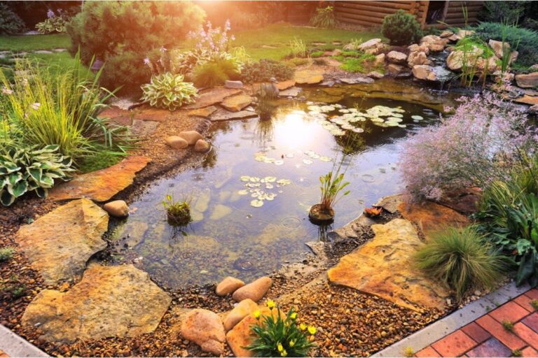 Homeowner Says His Backyard Pond Started Attracting Frogs Into Nearby Gardens, Now Neighbors Want Him to Remove It
