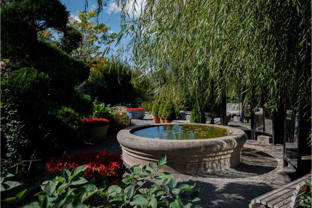 Homeowner Says His Backyard Water Feature Attracts Too Many Mosquitoes, Now Nearby Neighbors Want It Removed Before Summer