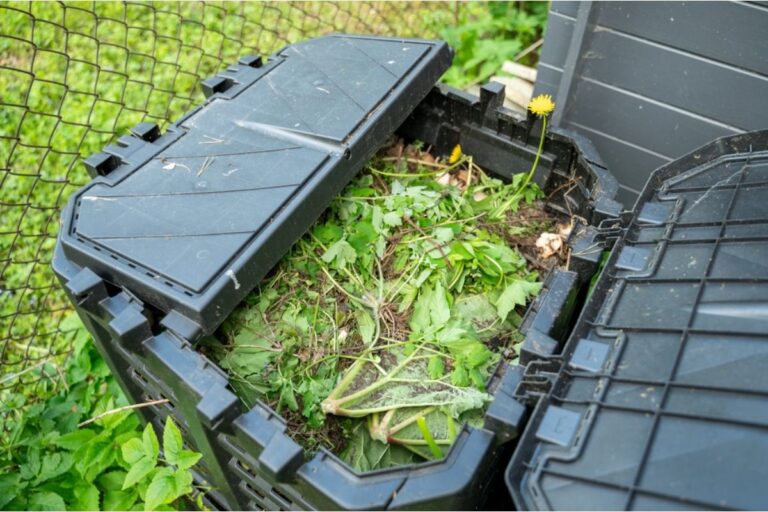 Homeowner Says His Neighbor Complained About His Compost Smell for Months, Then Started Asking for Free Fertilizer From the Same Pile