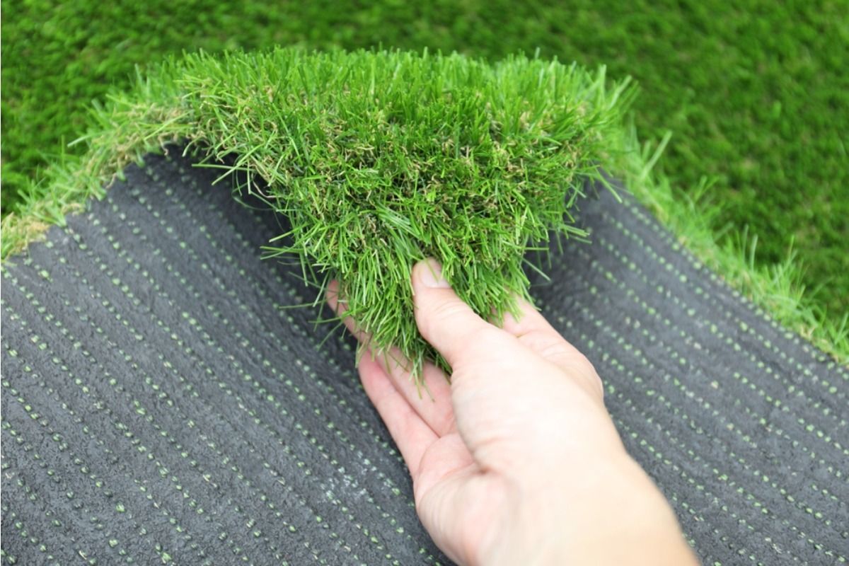 Homeowner Says His Neighbor Installed Artificial Turf Right Next to His Vegetable Beds, Now Heat Reflection Is Affecting Plant Growth