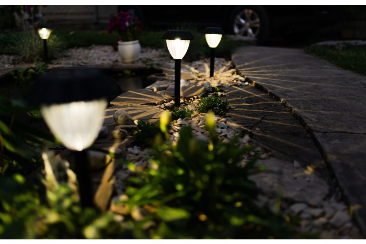 Homeowner Says His Neighbor Installed Bright Solar Garden Lights Along the Fence, Now His Plants Never Get Full Darkness at Night
