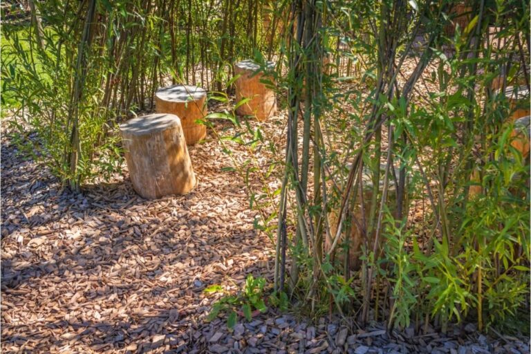 Homeowner Says His Neighbor Installed Tall Bamboo for Privacy, Now It’s Spreading Into Nearby Gardens and Causing Problems
