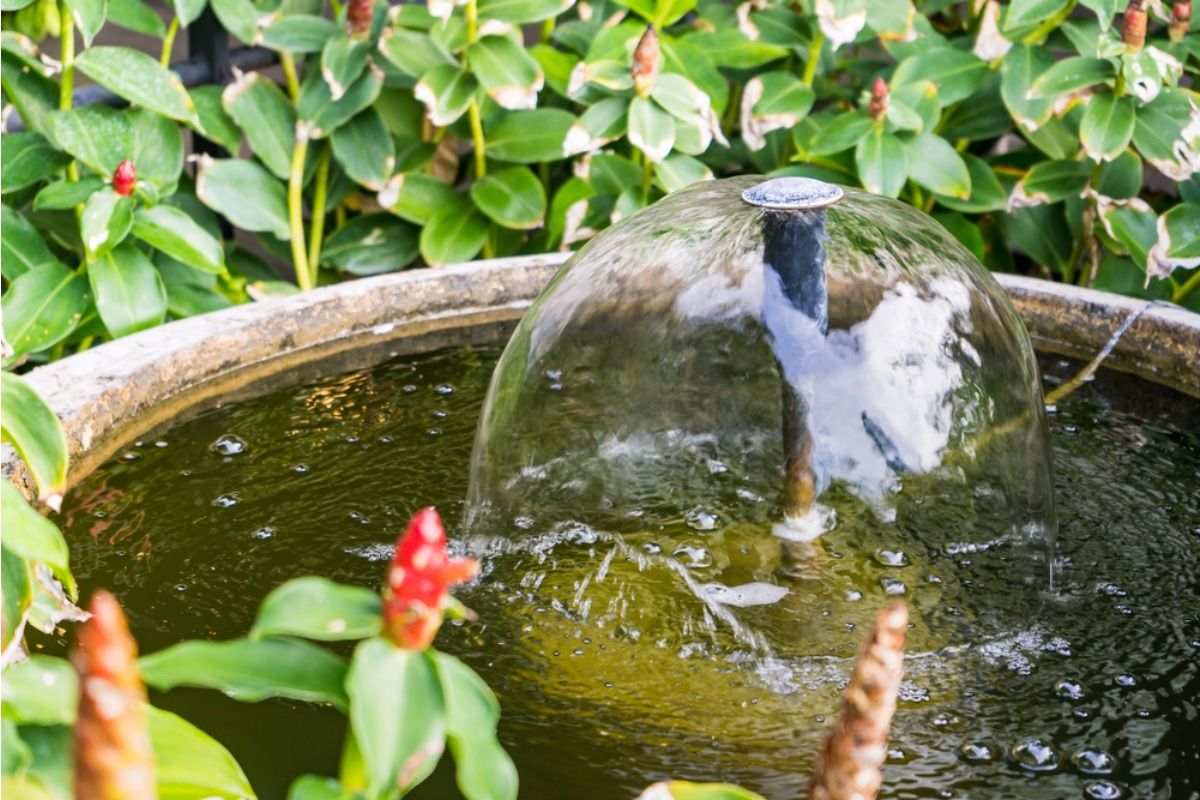 Homeowner Says His Neighbor Installed a Backyard Fountain That Runs All Night, Now Constant Moisture Is Affecting Nearby Plants