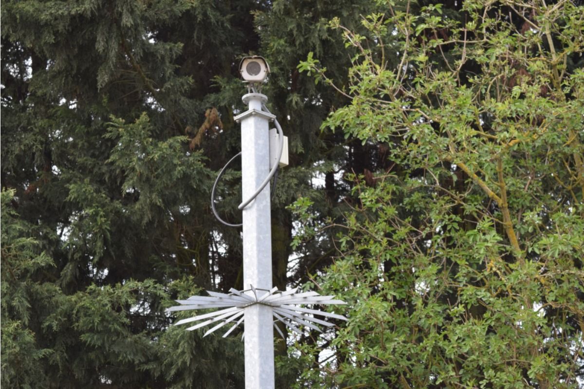 Homeowner Says His Neighbor Installed a Camera Facing His Garden Beds, Now He Feels Watched Every Time He Steps Outside