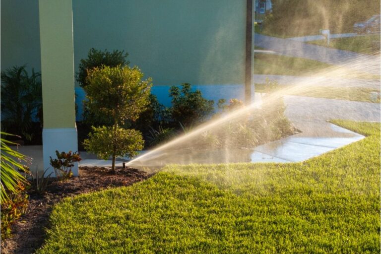 Homeowner Says His Neighbor Installed a Sprinkler That Keeps Hitting His Garden, Now His Plants Are Getting Overwatered and He’s Fed Up