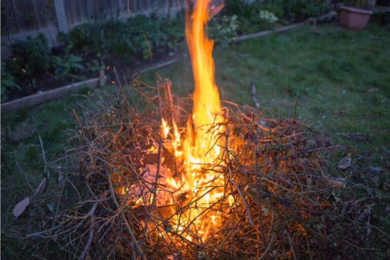 Homeowner Says His Neighbor Keeps Burning Yard Waste on Windy Days, Now Ash Is Settling Into His Garden Soil
