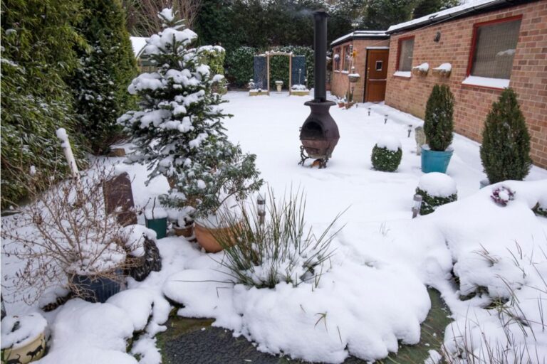 Homeowner Says His Neighbor Keeps Dumping Snow Into His Garden Area During Winter, Now Soil Conditions Are Worse Every Spring