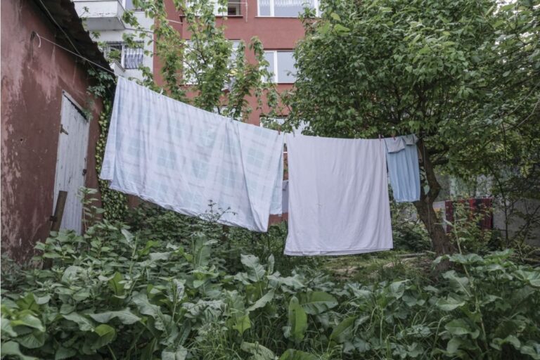 Homeowner Says His Neighbor Keeps Hanging Laundry Over the Shared Fence, Now Water Drips Are Damaging Plants Below