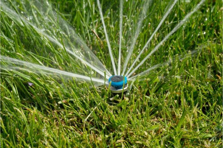 Homeowner Says His Neighbor Keeps Letting Sprinklers Run Into His Vegetable Beds Overnight, Now His Plants Are Showing Signs of Overwatering Damage