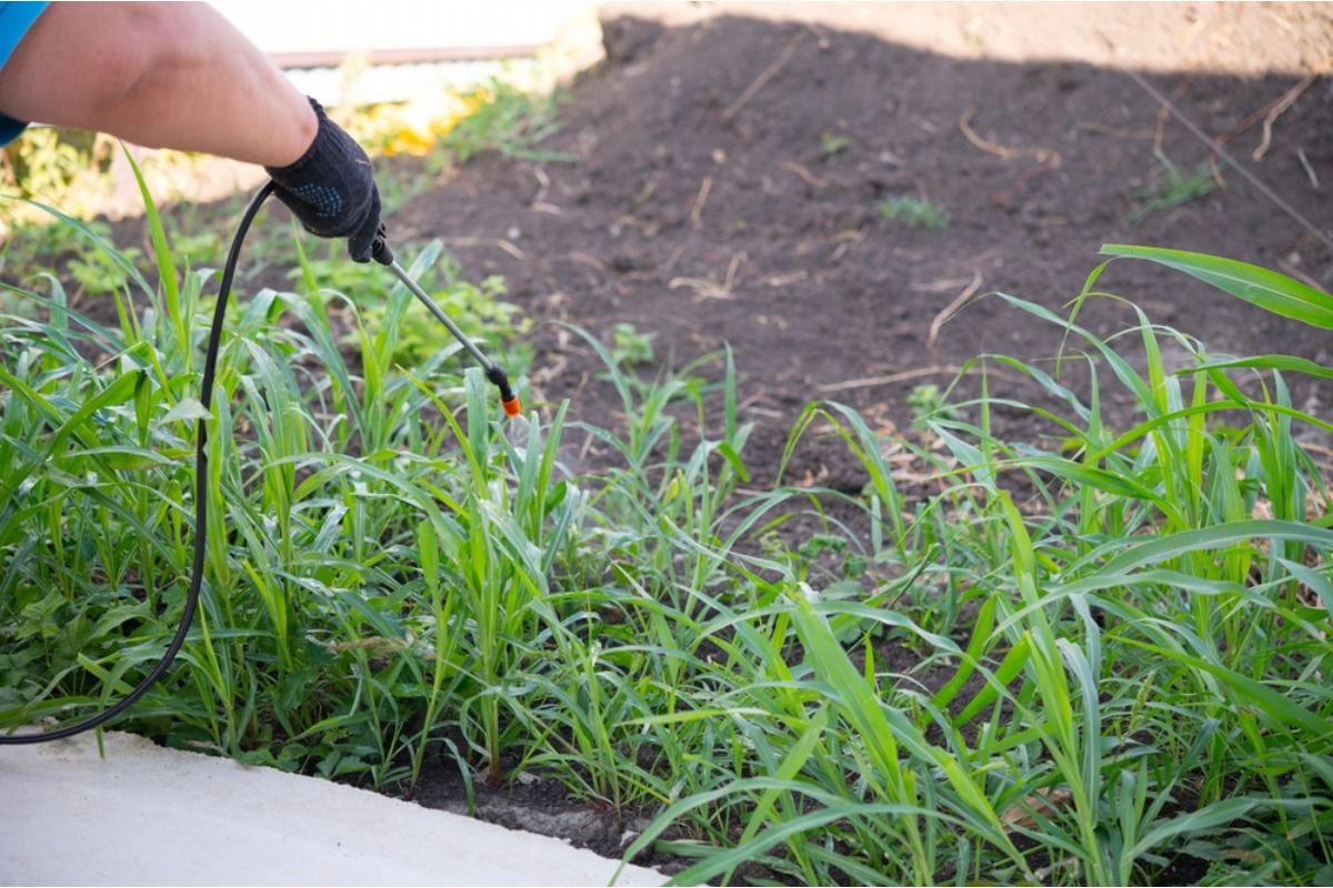 Homeowner Says His Neighbor Keeps Spraying Chemicals That Drift Into His Garden, Now He’s Worried About Contamination