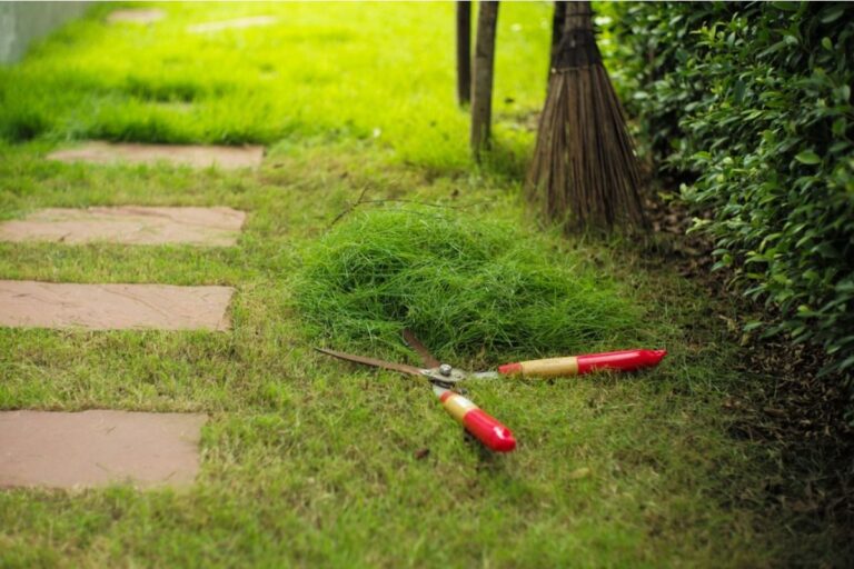 Homeowner Says His Neighbor Keeps Tossing Grass Clippings Into His Garden Beds, Now He’s Threatening to Put Up a Barrier