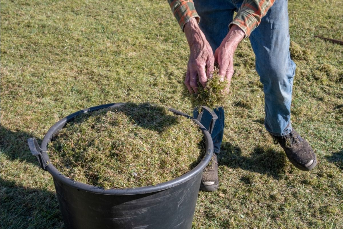 Homeowner Says His Neighbor Keeps Tossing Grass Clippings Into His Garden Beds, Now He’s Threatening to Put Up a Barrier