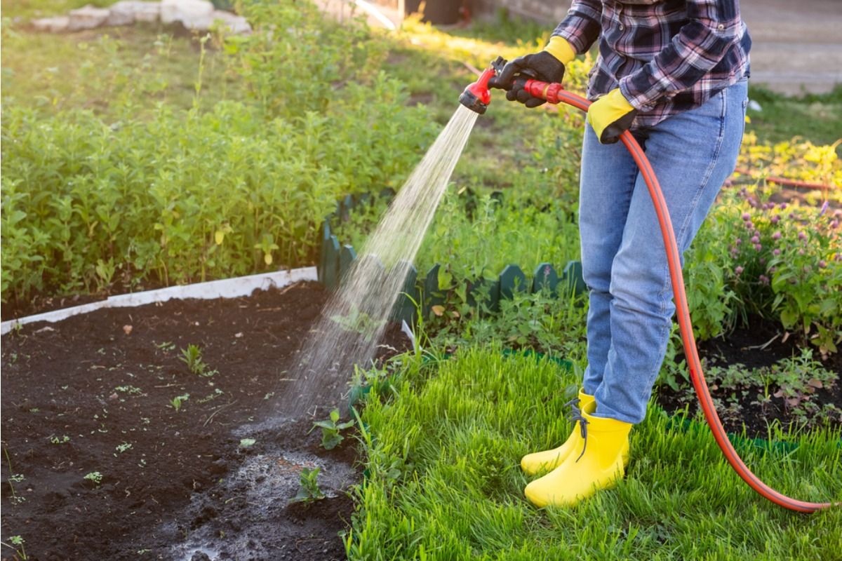 Homeowner Says His Neighbor Keeps Using His Garden Hose Without Asking, Now Water Bills Are Becoming Part of the Argument