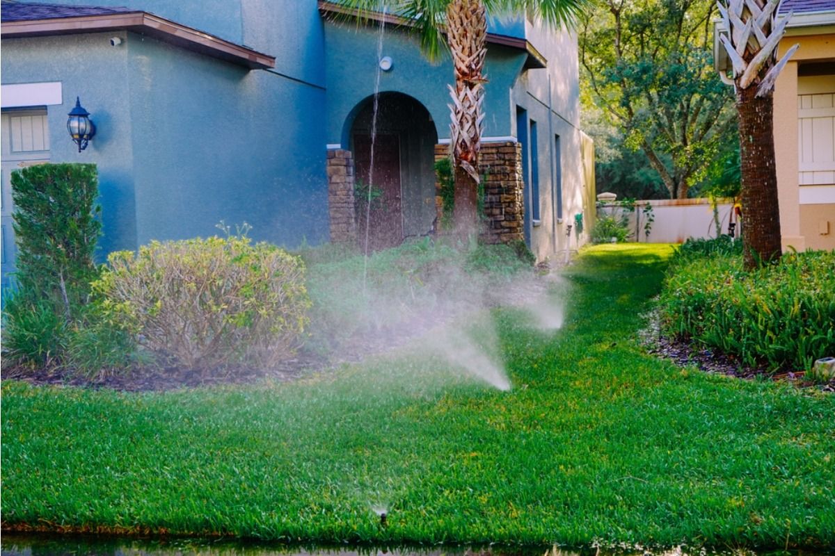 Homeowner Says His Neighbor’s New Misting System Runs All Afternoon, Now Constant Dampness Is Spreading Mold Near His Plants