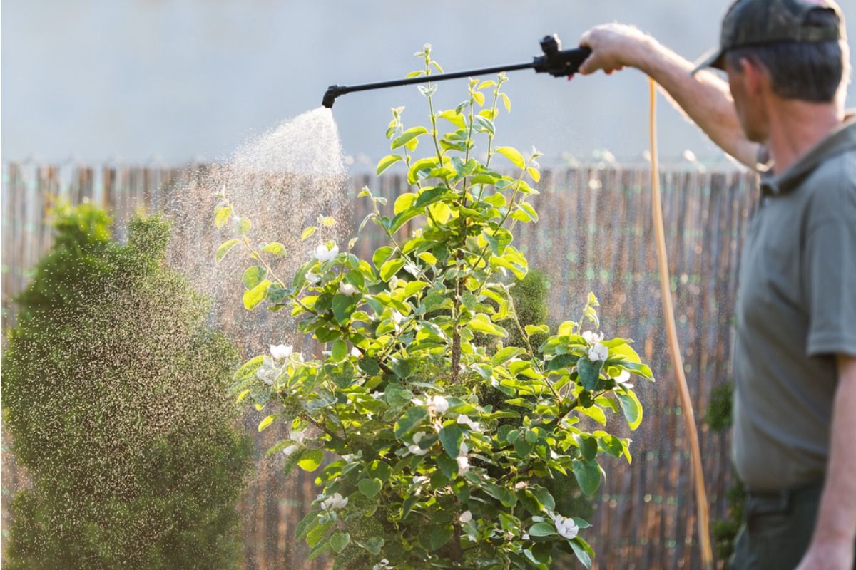 Homeowner Says His Neighbor’s Weekly Lawn Treatments Are Drifting Into His Vegetable Garden, Now He’s Worried About What’s Getting Into the Soil