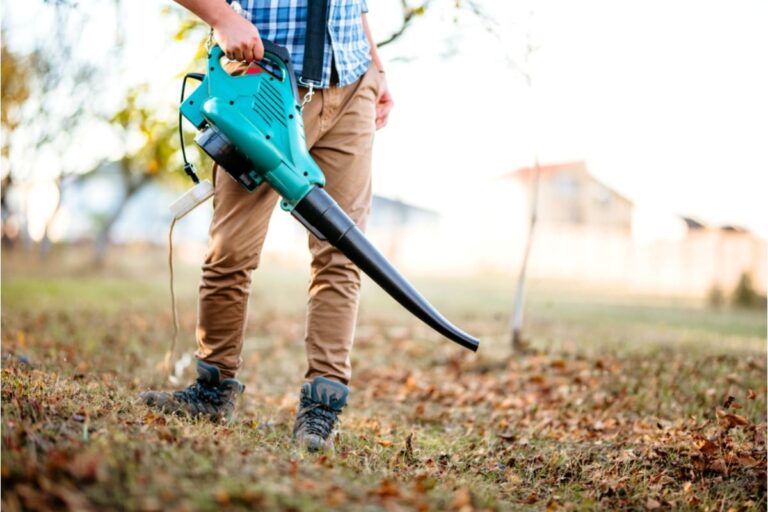 Homeowner Says His Neighbor’s Windy Leaf Blower Routine Keeps Damaging Young Seedlings, Now Their Backyard Dispute Is Escalating