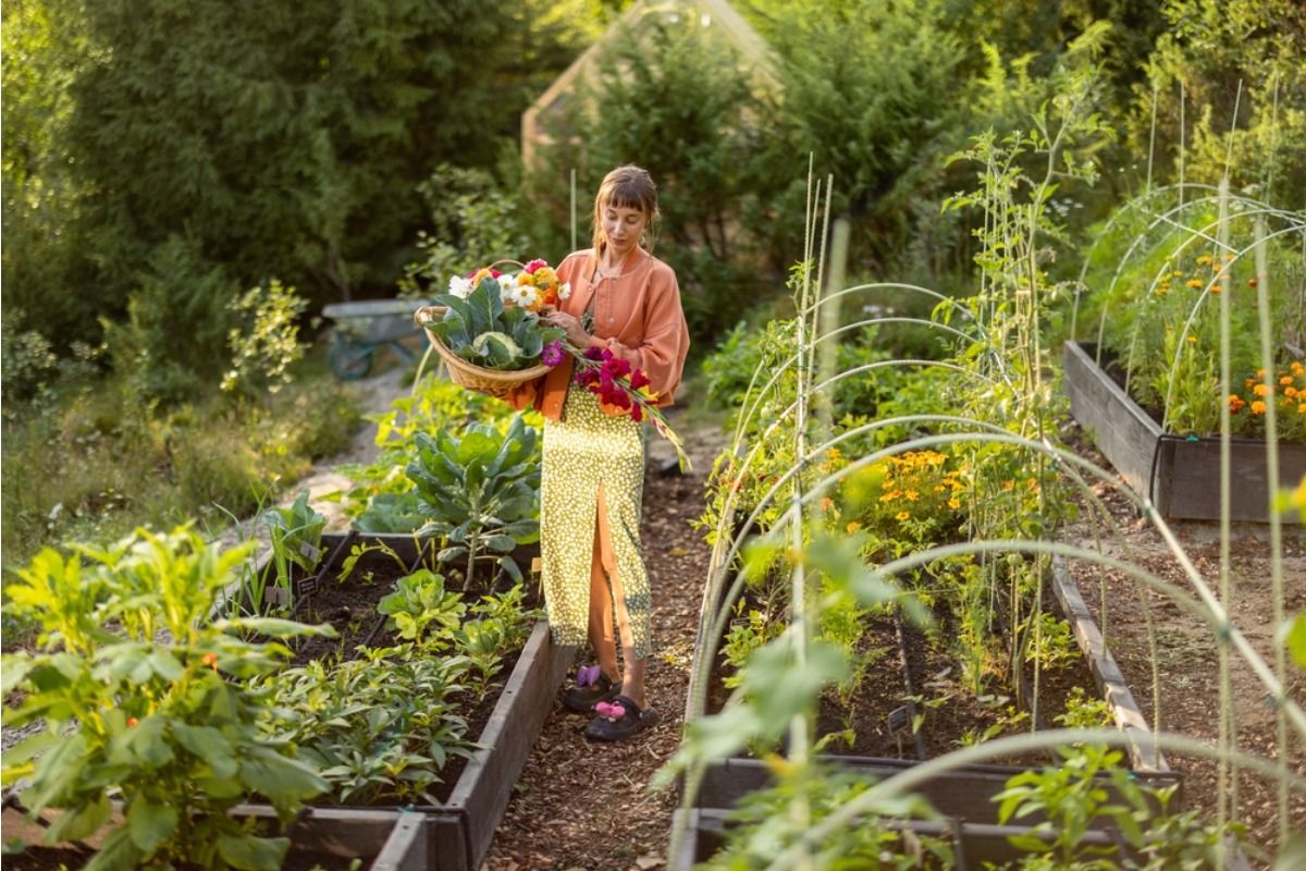 Homeowner Says His Vegetable Garden Became So Popular Online That Strangers Started Knocking on His Door Asking for Tours
