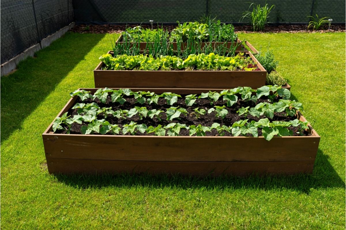 Homeowners Are Converting Lawns Into Full Vegetable Gardens, And Some Neighbors Are Calling It “Too Messy” for the Neighborhood