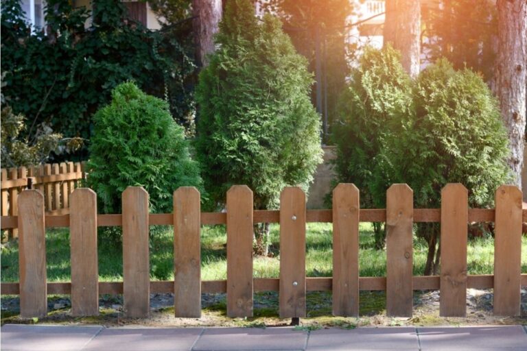 Homeowners Are Disagreeing Over Shared Fence Gardens, And It’s Turning Simple Planting Into a Bigger Conflict