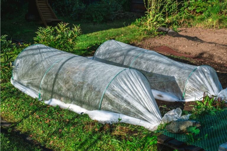 Homeowners Are Turning Front Yards Into Vegetable Gardens, And Neighbors Are Divided Over Whether It Improves or Ruins the Street View