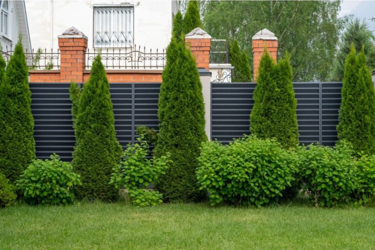 Some Home Gardeners Are Building High Privacy Screens Around Their Vegetables, And Neighbors Say It’s Making Streets Look Divided