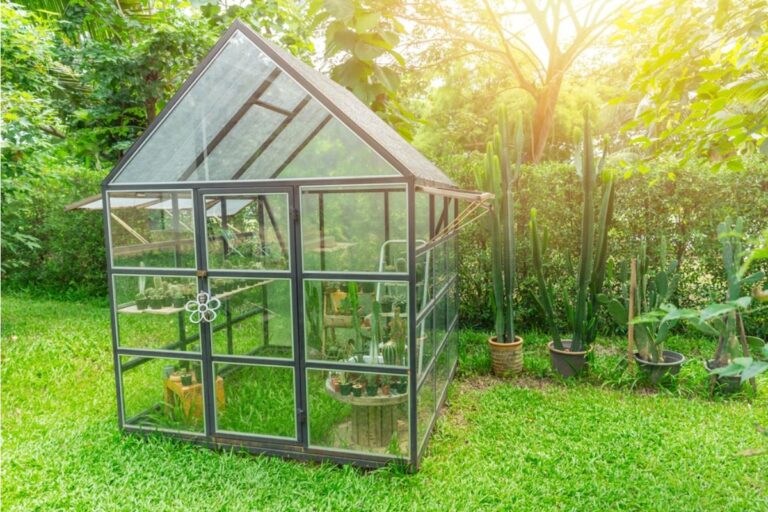 Some Home Gardeners Are Building Tiny Backyard Greenhouses From Old Windows, And Neighbors Say the Reflections Are Too Bright