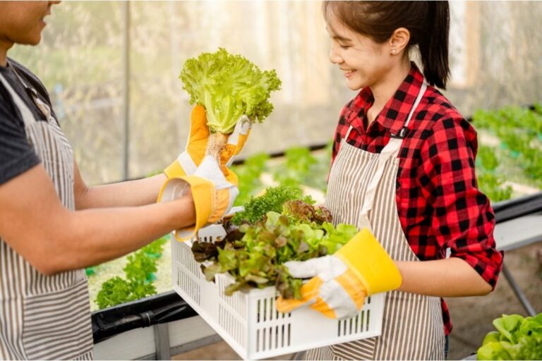 Some Home Gardeners Are Charging Neighbors for Fresh Produce After Years of Giving It Away Free, And Opinions Are Strong on Both Sides