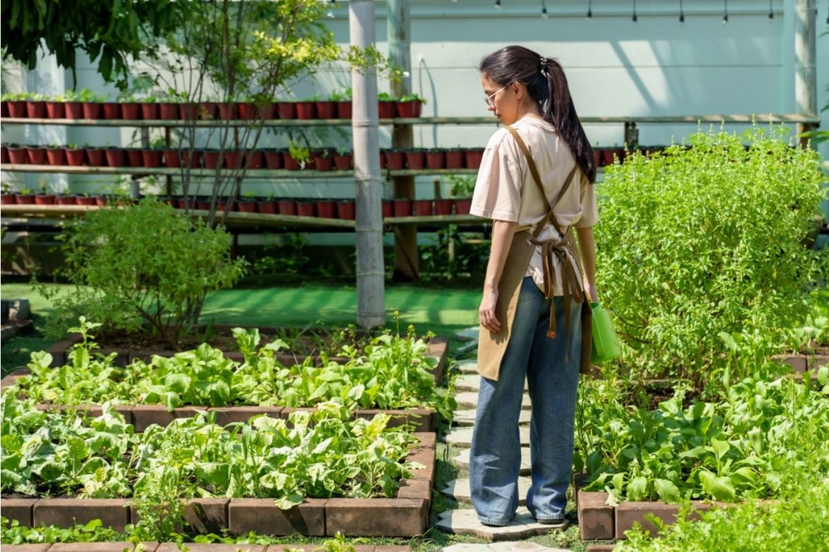 Some Home Gardeners Are Growing Enough Food to Stop Buying Certain Vegetables Entirely, And Neighbors Say It’s Inspiring the Whole Block