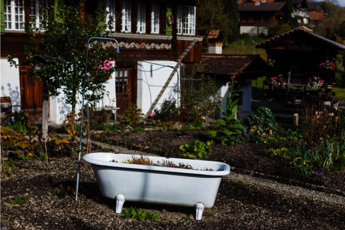 Some Home Gardeners Are Growing Food in Old Bathtubs and Sinks, And Neighbors Say the Trend Makes Yards Look Cluttered
