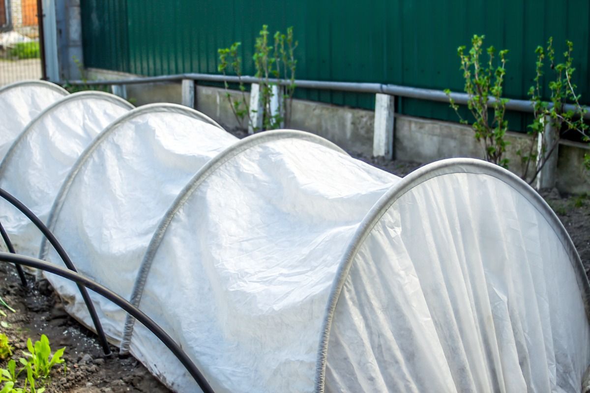 Some Home Gardeners Are Installing Tall Greenhouse Tunnels in Small Backyards, And Neighbors Say They’re Blocking Views Across the Street