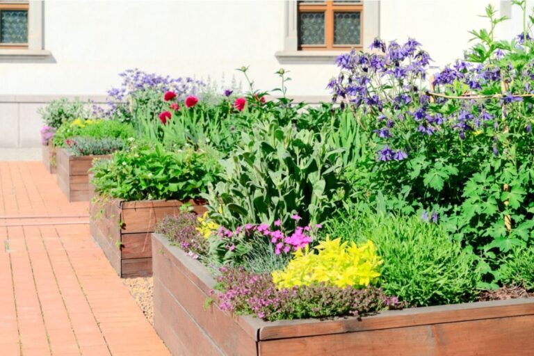 Some Home Gardeners Are Planting Large Vegetable Beds in Front Yards, And Delivery Drivers Say It’s Making Houses Harder to Reach