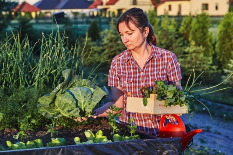 Some Home Gardeners Are Refusing to Share Produce With Neighbors Anymore, And It’s Sparking Awkward Tension on the Street