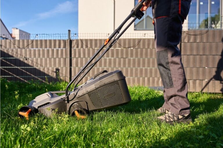Some Home Gardeners Are Removing Backyard Grass Completely to Cut Water Bills, And Neighbors Say Entire Streets Are Starting to Look Different