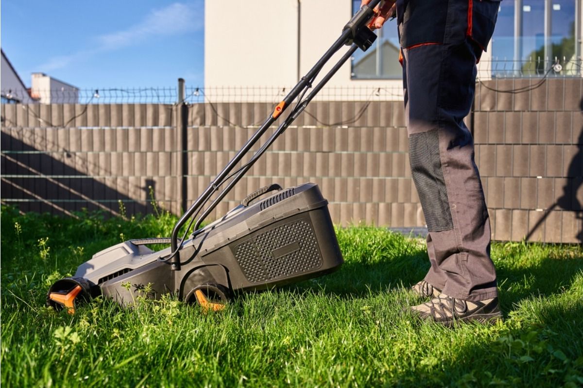 Some Home Gardeners Are Removing Backyard Grass Completely to Cut Water Bills, And Neighbors Say Entire Streets Are Starting to Look Different