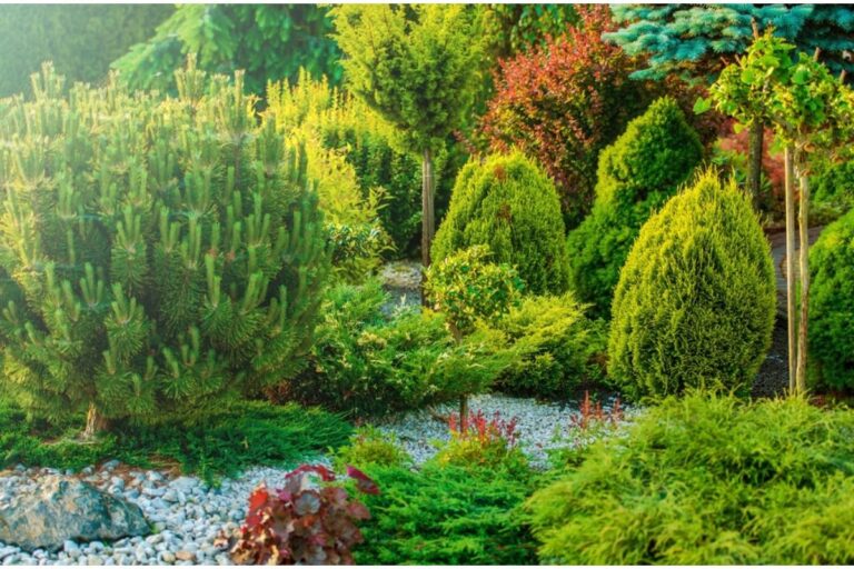 Some Home Gardeners Are Switching to Fully Native Plant Yards, And Neighbors Say the Wild Growth Looks “Unfinished” Compared to Traditional Lawns