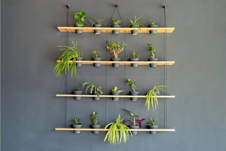 Some Home Gardeners Are Switching to Vertical Wall Planters Indoors, And It’s Creating Unexpected Space and Light Issues