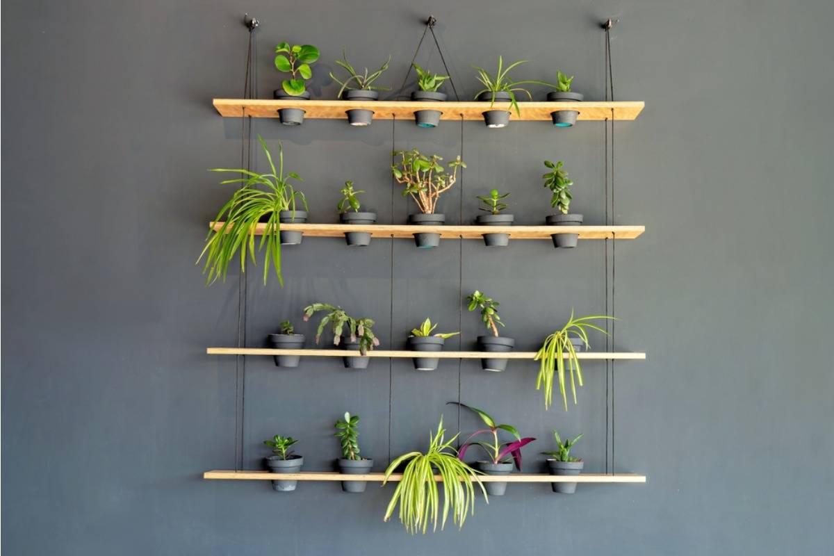 Some Home Gardeners Are Switching to Vertical Wall Planters Indoors, And It’s Creating Unexpected Space and Light Issues
