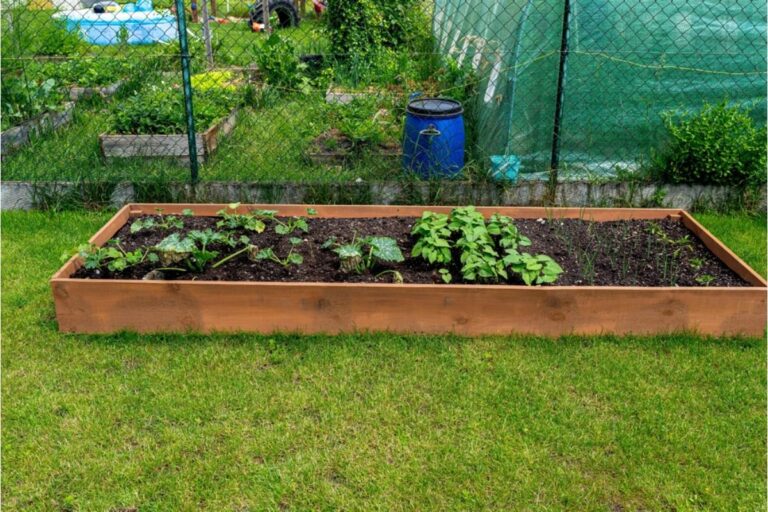 Some Home Gardeners Are Turning Entire Side Yards Into Narrow Vegetable Farms, And Neighbors Say It’s Making Properties Feel Crowded