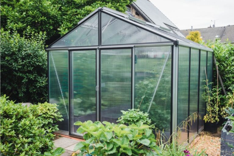 Some Home Gardeners Are Turning Front Porches Into Mini Greenhouses, And Neighbors Say the Streets Are Starting to Look Unrecognizable