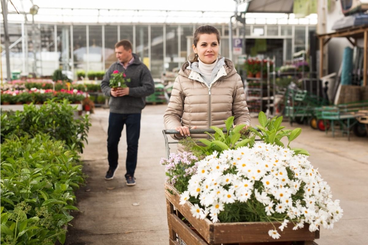 Some Home Gardeners Are Using Old Shopping Carts as Mobile Planters, And Neighbors Say the Trend Makes Streets Look Cluttered