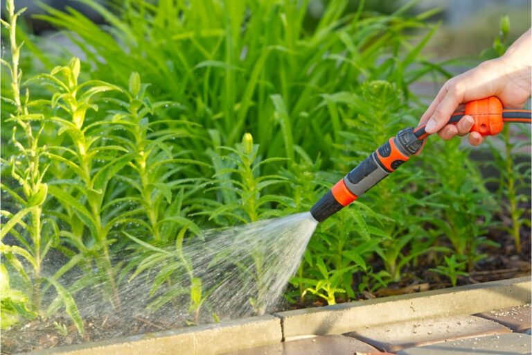 Some Home Gardeners Are Using Shared Water Lines Between Properties, And Small Disputes Are Turning Into Bigger Neighborhood Conflicts