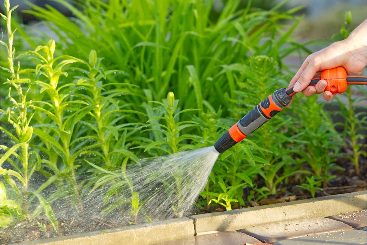 Some Home Gardeners Are Using Shared Water Lines Between Properties, And Small Disputes Are Turning Into Bigger Neighborhood Conflicts