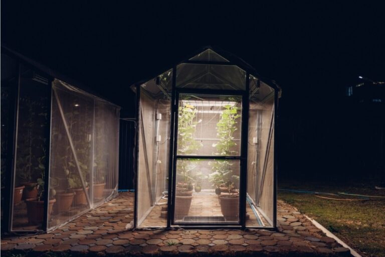 Some Homeowners Are Building Tiny Backyard Greenhouses That Glow at Night, And Neighbors Say the Bright Structures Are Impossible to Ignore