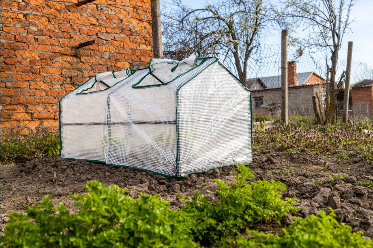 Some Homeowners Are Installing Mini Greenhouses in Front Yards, And Neighbors Say It’s Changing the Look of the Entire Street