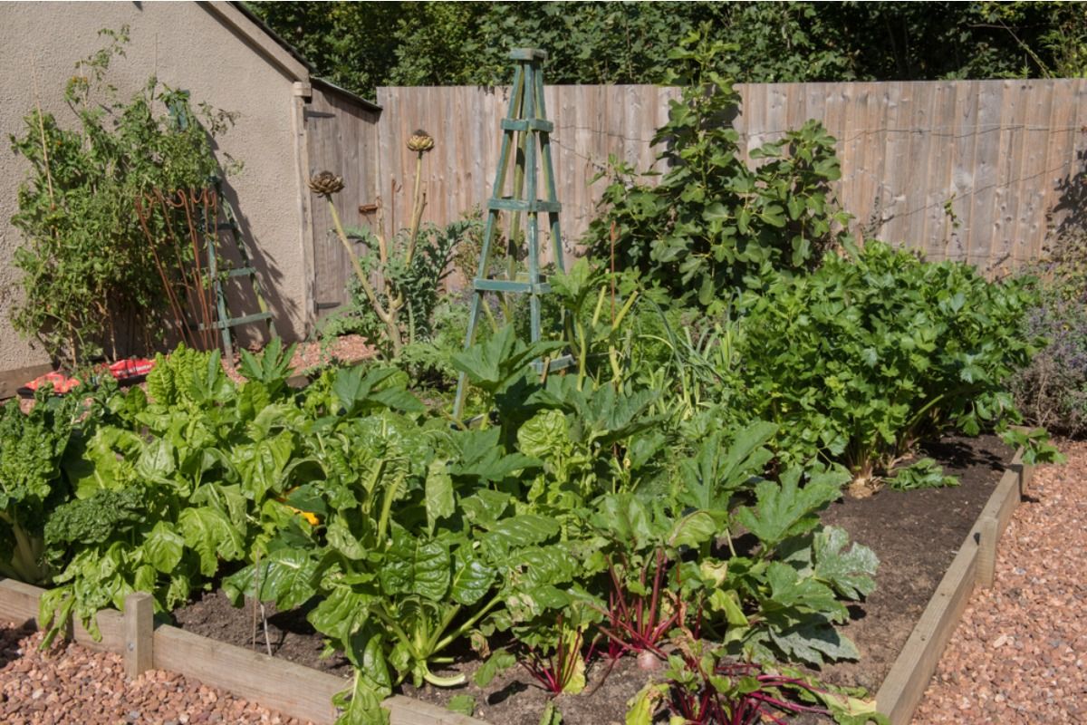 Some Homeowners Are Replacing Backyard Pools With Food Gardens, And Neighbors Say the Trend Is Completely Changing Summer Gatherings