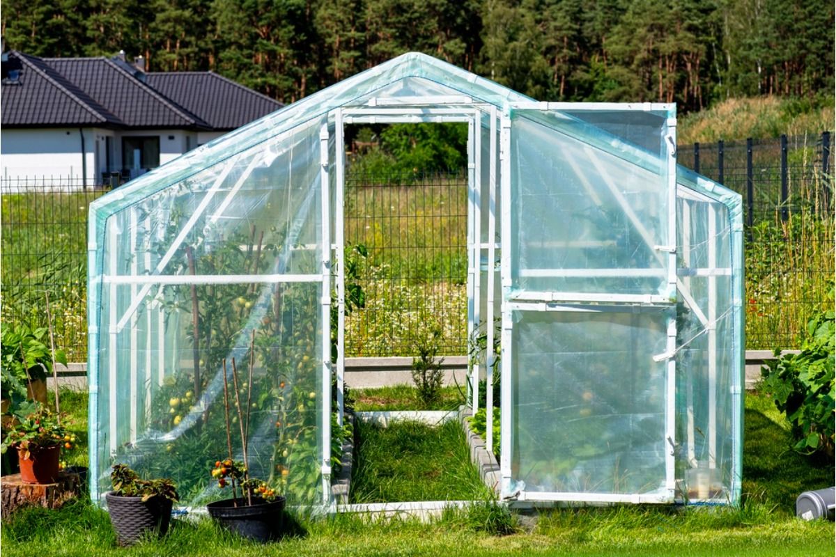 Some Homeowners Are Turning Entire Backyards Into Greenhouses, And Neighbors Say the Reflections and Heat Are Becoming a Problem