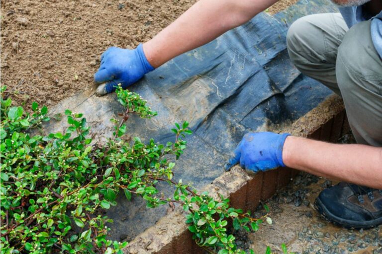 Gardener Says Her Adult Son Tore Out Her Entire Flower Bed to Install a Basketball Hoop While She Was at Work