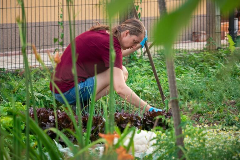 Gardener Says Her Backyard Vegetables Became So Valuable During a Shortage That Friends Started Asking to Reserve Harvests Weeks in Advance